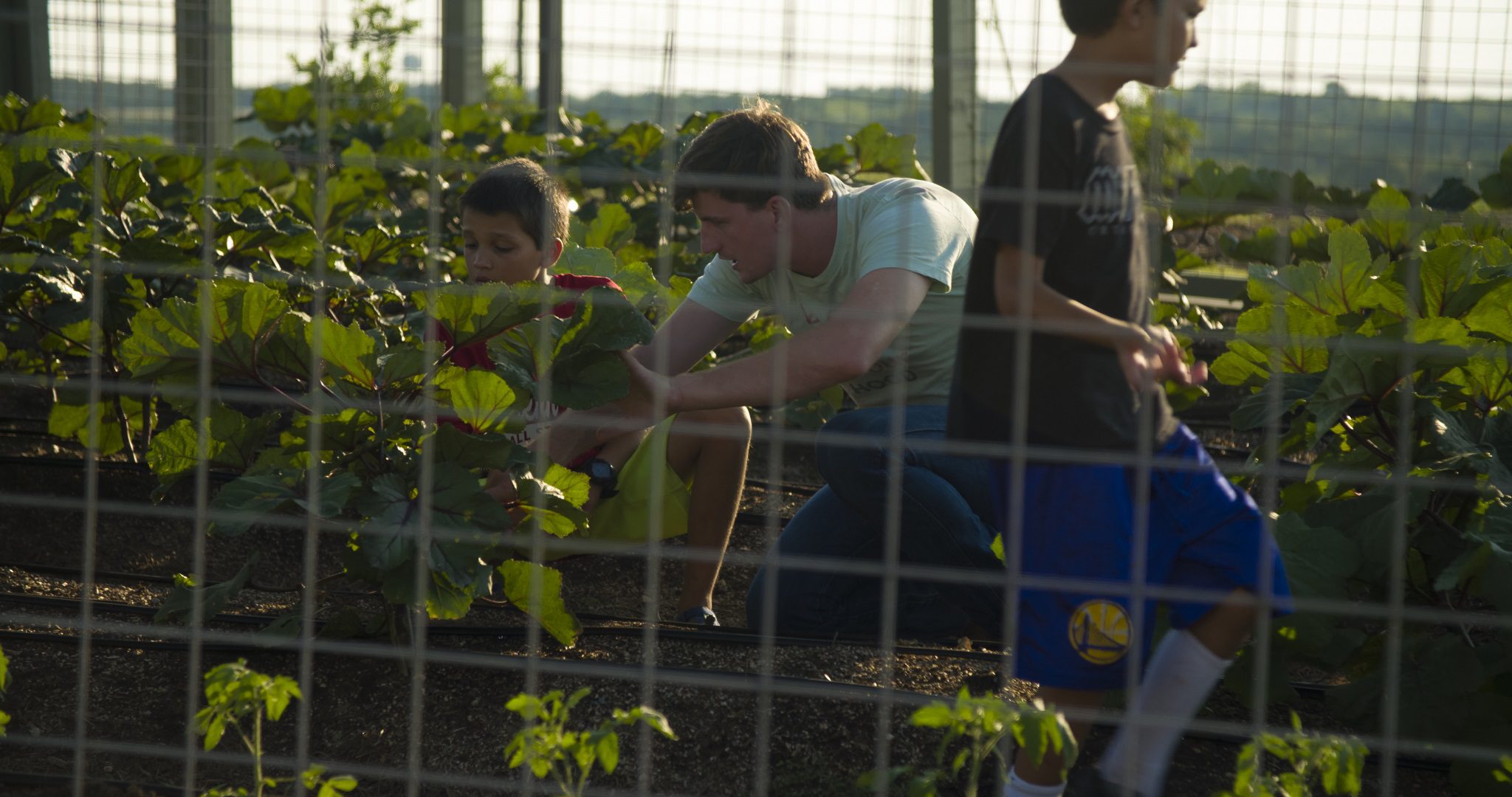 Whisper Valley Organic Garden and Farm Program