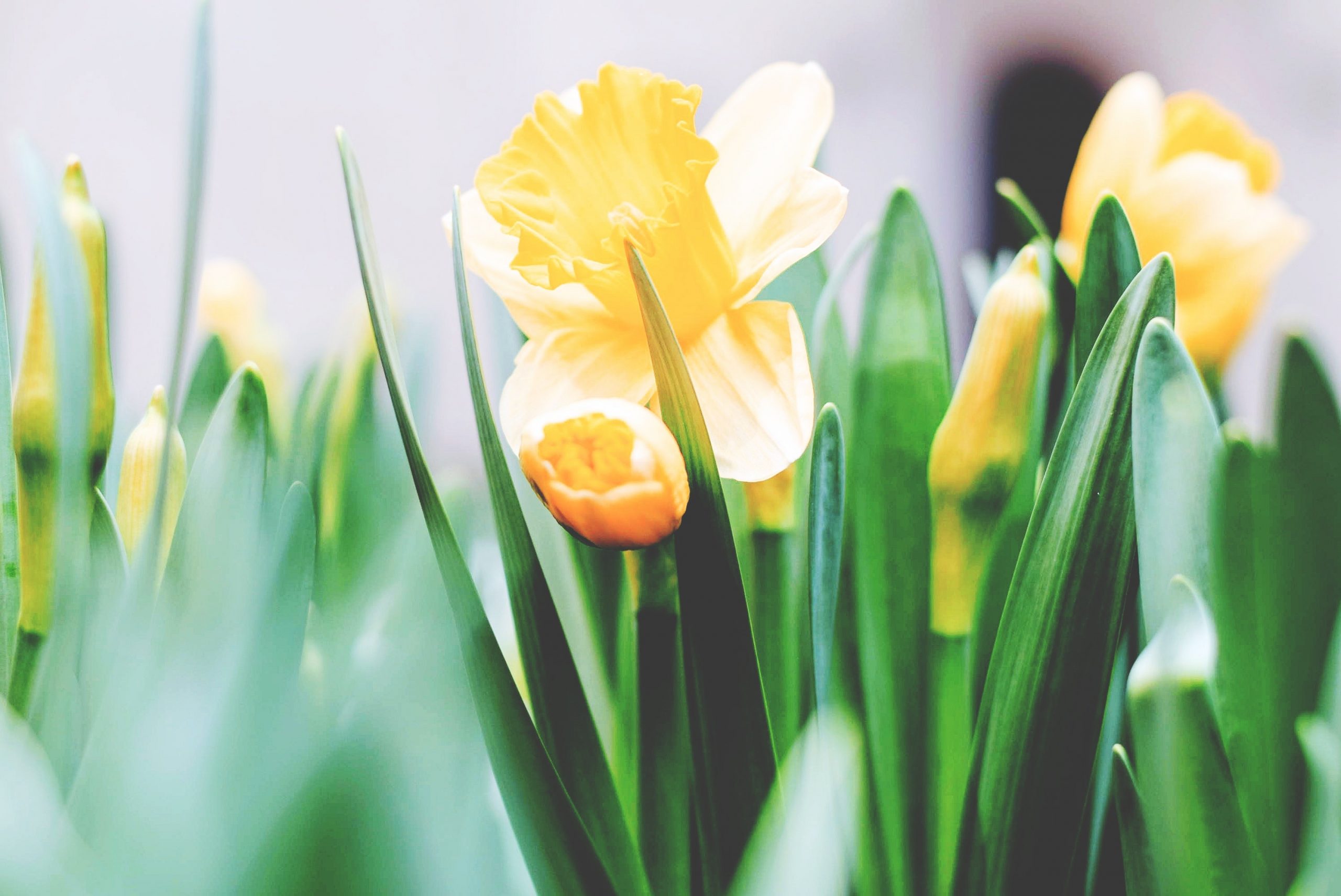 Green Ways to Celebrate Easter in Austin Whisper Valley Whisper Valley
