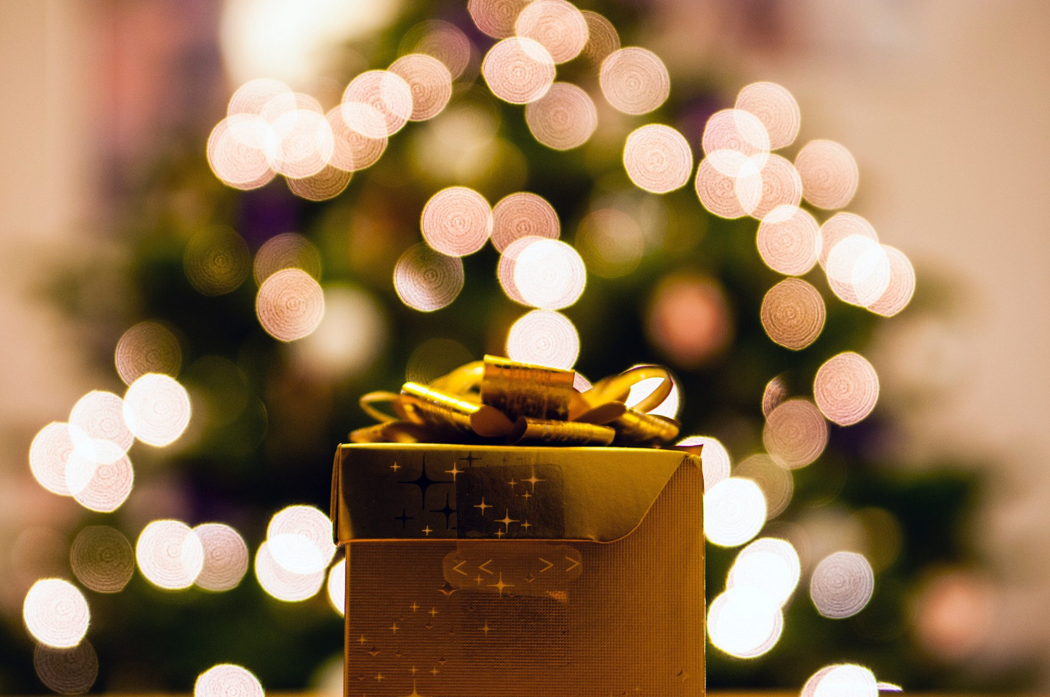 eco-friendly holiday gift ideas