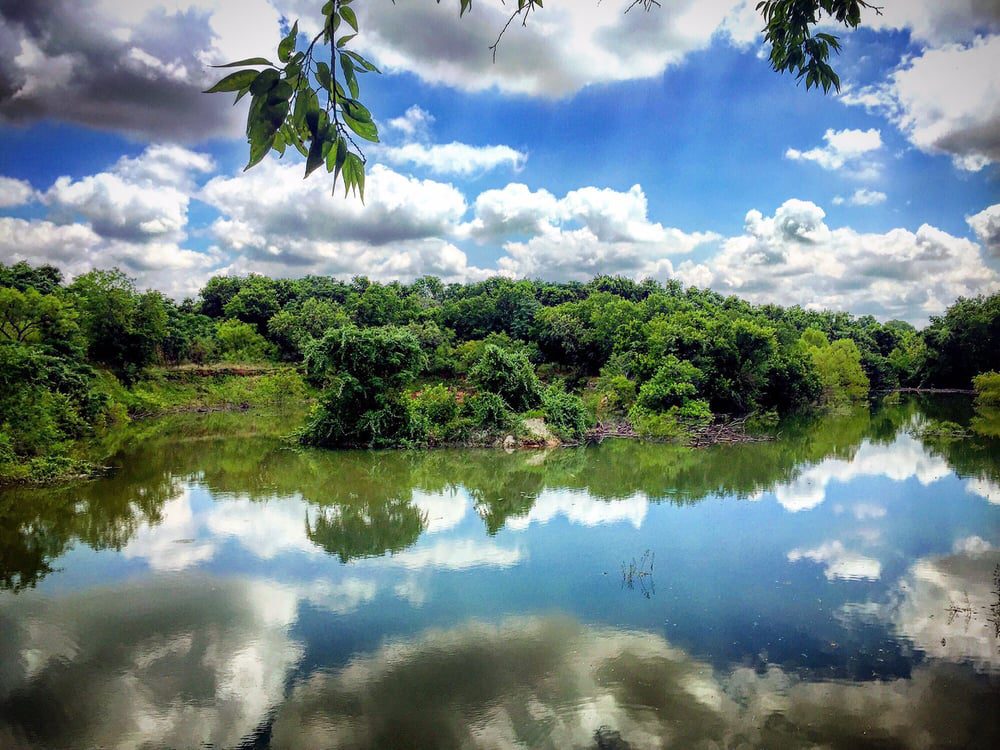 East Austin Parks Roy G Guerrero Colorado River Park