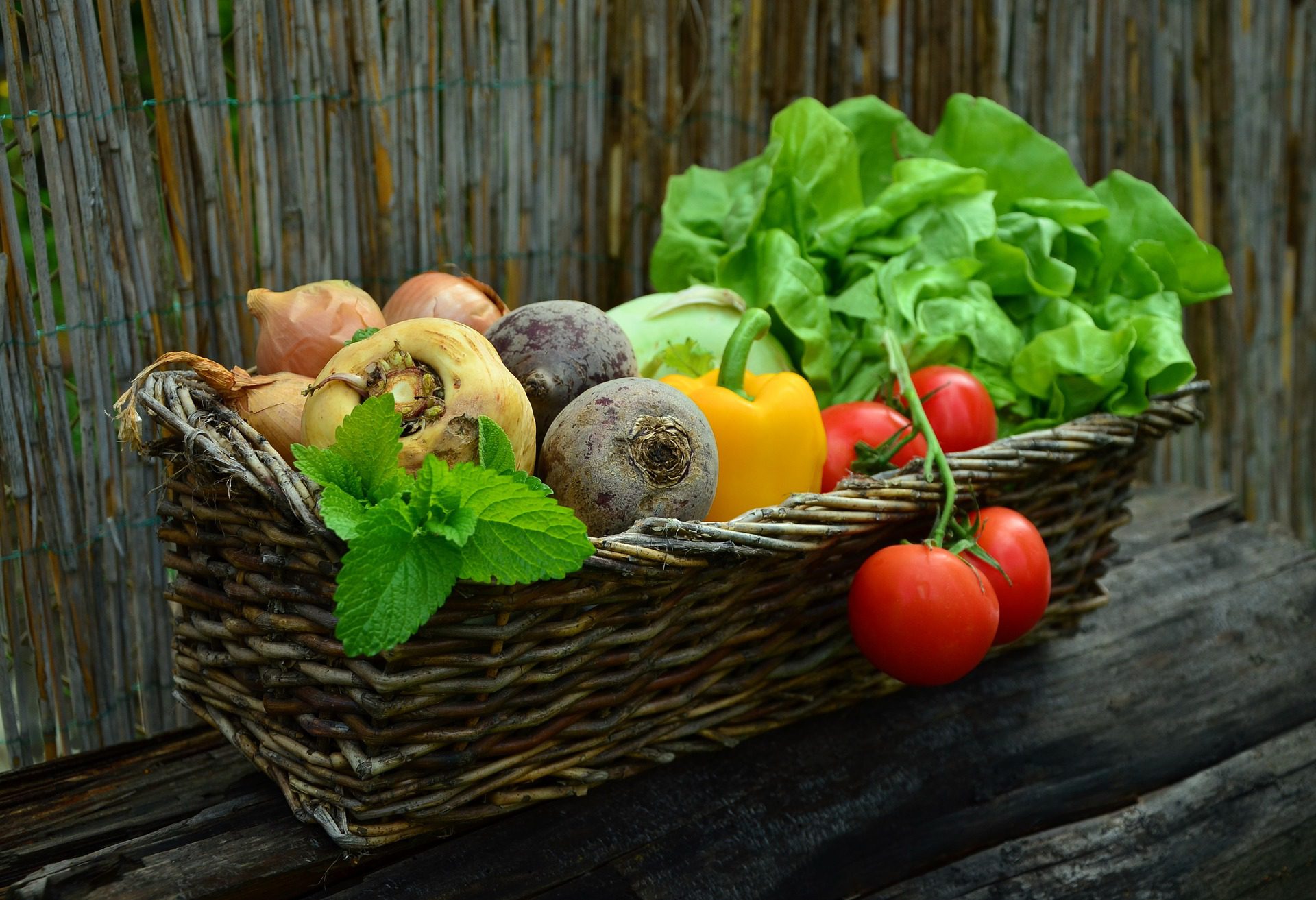 Vegetable spring garden