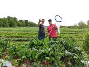 Farmshare Austin Farm